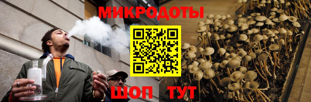 Галлюциногенные грибы Psilocybine cubensis Белогорск